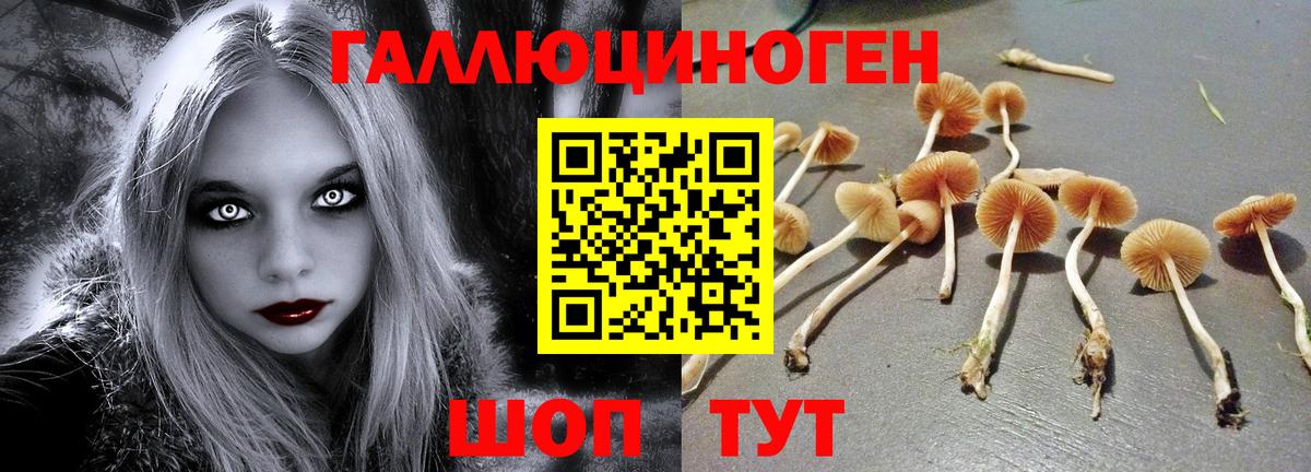 Учалы  наркошоп  Вход с VPN  Псилоцибиновые грибы прущие грибы 